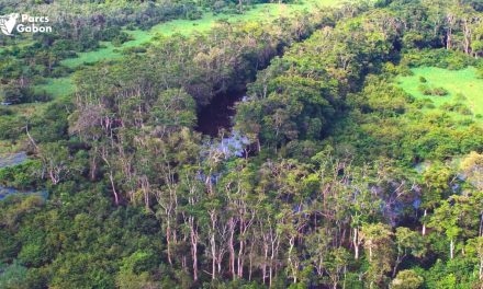 Le Gabon, Un Modèle de Lutte Contre la Désertification en Afrique