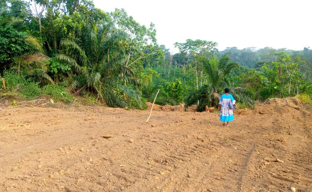 🛑Conflit Territoriale à Koula Moutou: La Coopérative Lessala Appelle à l’Arbitrage du Président de la Transition pour Résoudre un