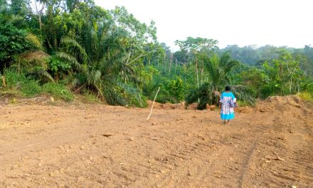 🛑Conflit Territoriale à Koula Moutou: La Coopérative Lessala Appelle à l’Arbitrage du Président de la Transition pour Résoudre un