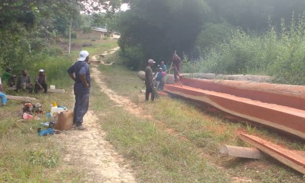 Réhabilitation des ponts dans le département de la Lolo Bouenguidi : L’initiative de Max Anicet Ikouboulou saluée par les populations »