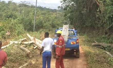 Pana : Le délégué spécial lance une nouvelle phase d’élagage des arbres pour renforcer la sécurité