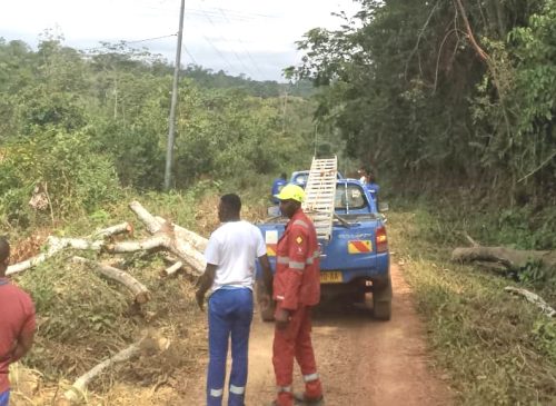 Pana : Le délégué spécial lance une nouvelle phase d’élagage des arbres pour renforcer la sécurité