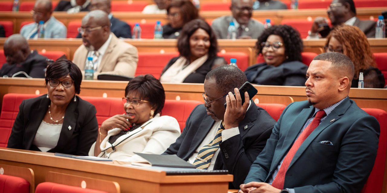 Le Comité National Constitutionnel Défend sa Proposition devant l’Assemblée Constituante