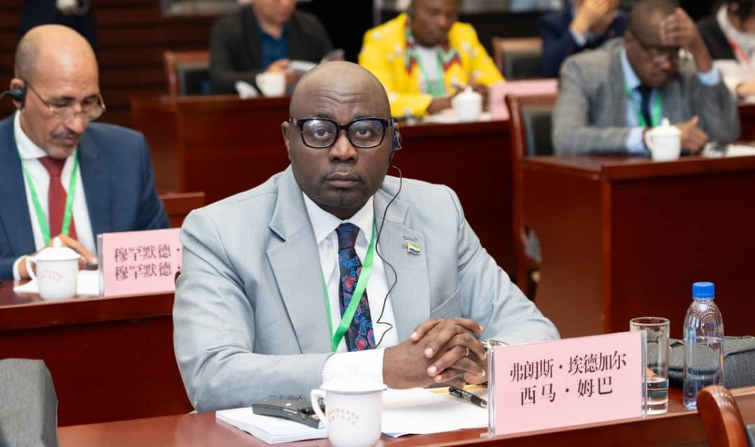 Modernisation à la chinoise : Francis Edgard Sima Mba représente le Gabon au séminaire pour le développement africain