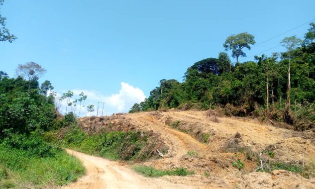 L’axe Koula-Moutou-Pana-Dienga : Les populations lancent un cri d’alarme face à l’abandon
