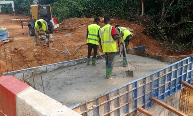 Gabon : Les routes Ntoum-Cocobeach et Akournam-Andem en pleine accélération
