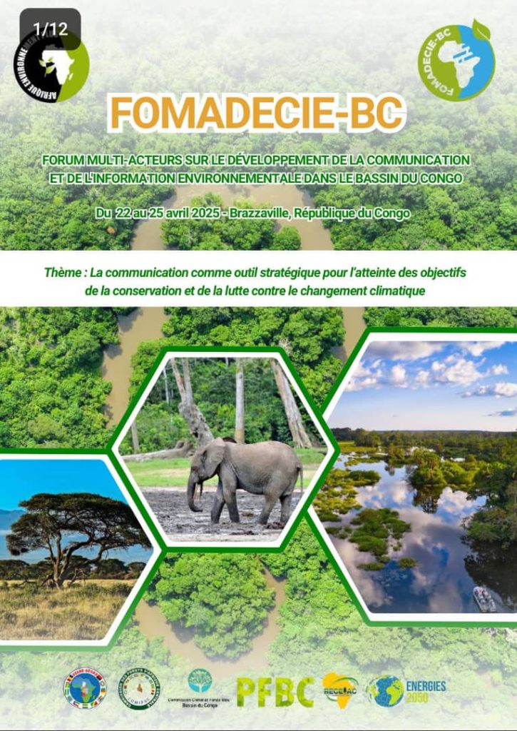 Brazzaville : Le Bassin du Congo place la communication au cœur de la ...