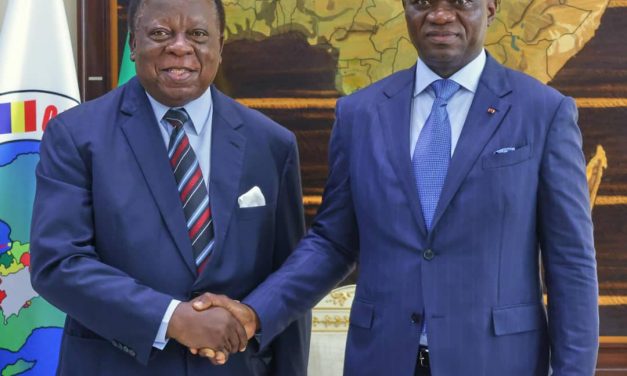 Renforcement des liens diplomatiques : Le Chef de l’État gabonais reçoit un émissaire zambien