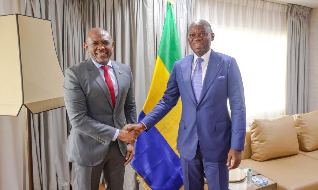 Le Gabon renforce ses liens avec la finance africaine : Brice Clotaire Oligui Nguema reçoit Tony Elumelu à Abuja