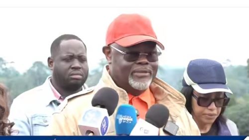 Hervé Patrick Opianga et SOGADA : Le pari audacieux du Made in Gabon agroalimentaire