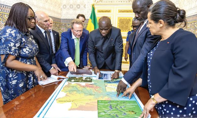 Partenariats stratégiques : Andrew Forrest reçu par le Président gabonais