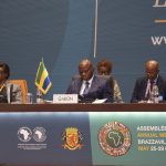 Fonds Bleu du Bassin du Congo : à Brazzaville, Oligui Nguema veut imposer une nouvelle doctrine africaine du climat