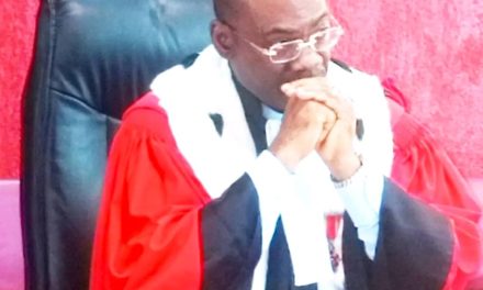 CONSEIL DE DISCIPLINE DES MAGISTRATS /LA RADIATION D’EDDY NARCISSE MINANG SOUS LE PRISME DES GARANTIES PROCÉDURALES
