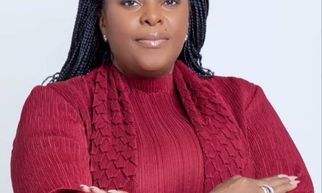 DIGIWOMEN AWARDS  : LE NUMÉRIQUE AFRICAIN TROUVE SA MARRAINE EN NINA ALIDA ABOUNA