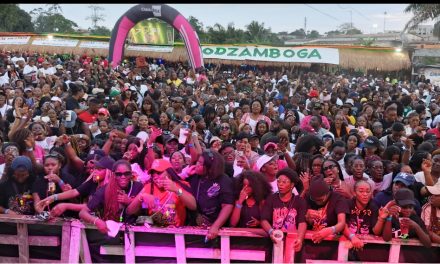 « Notre Gabon, nos racines » : à Libreville, RACINES et Entre Nous Bar mettent la culture gabonaise à l’honneur