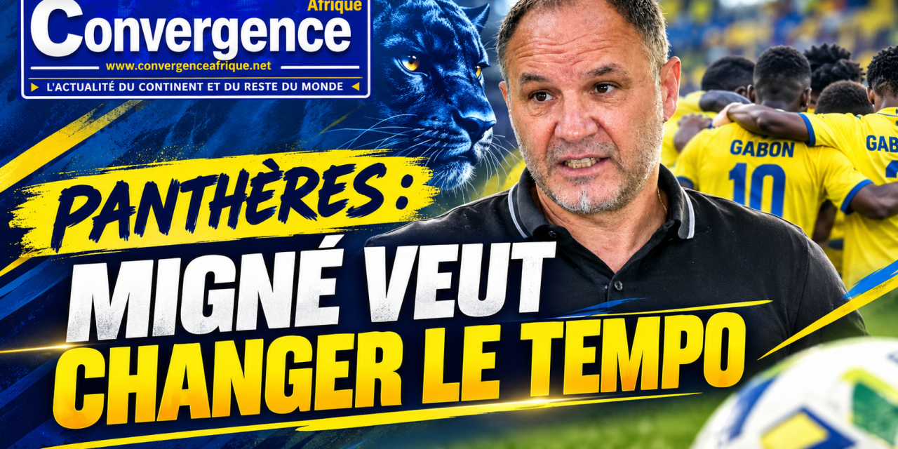 PANTHÈRES : MIGNÉ VEUT CHANGER LE TEMPO