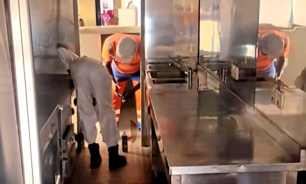 Punaises de lit dans un train : la SETRAG lance cinq opérations de traitement